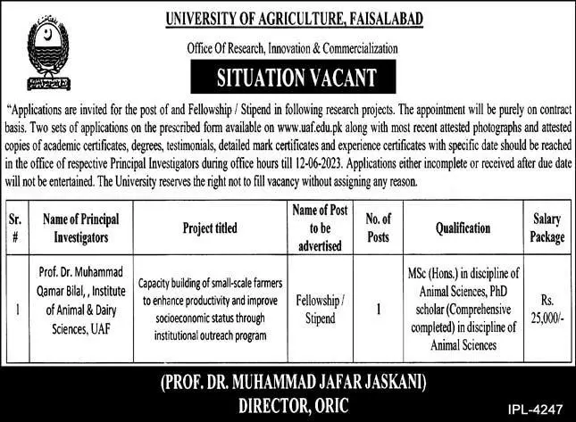 University of Agriculture UAF Faisalabad Jobs 2023